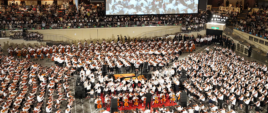 gccello11.jpg